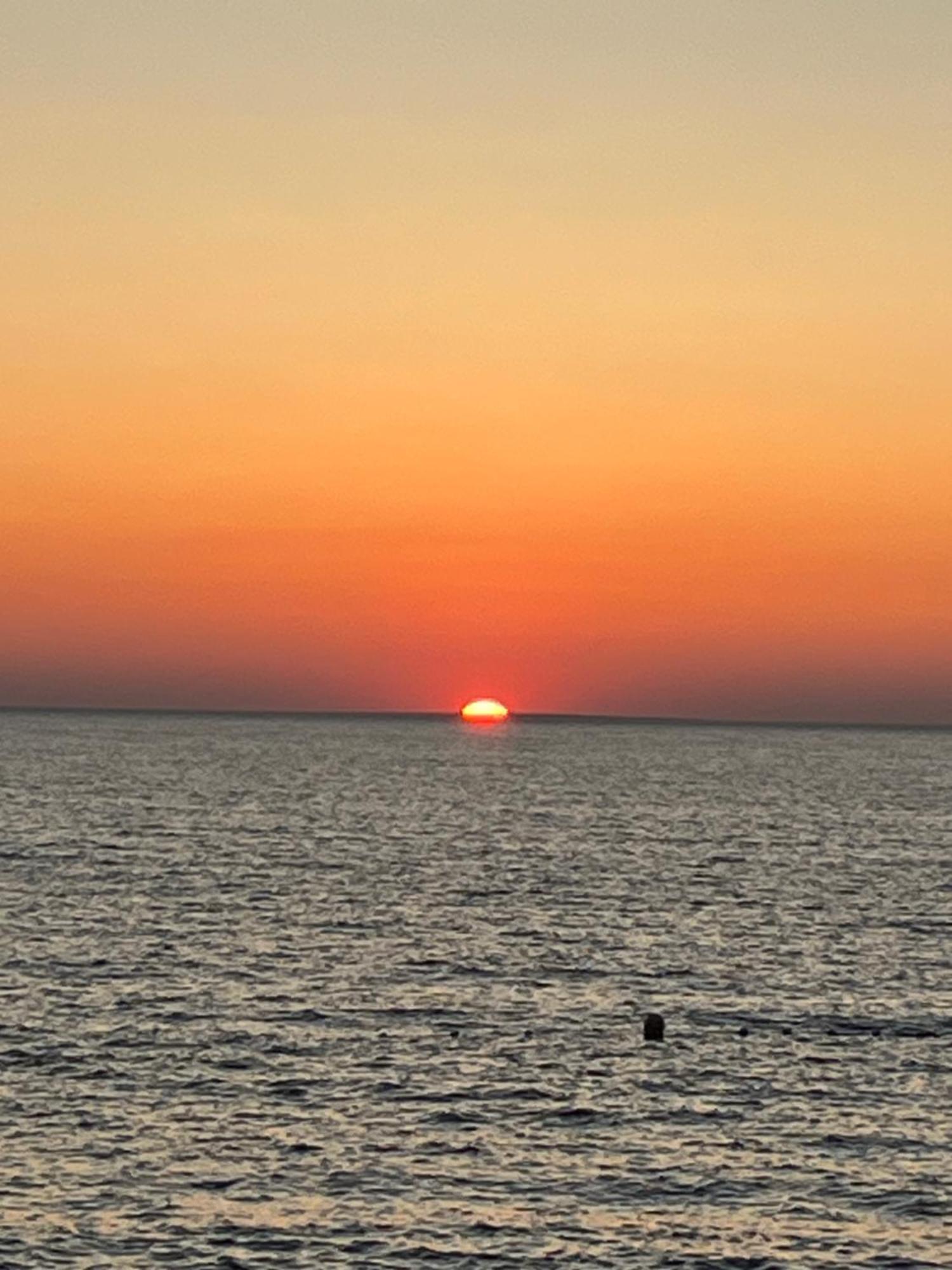 Sunny U Resortu, Petrcane, Za 4, Akcija!